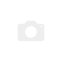 Cisco Embedded Wireless Controller C9105AXI-EWC-E — Точка доступа 802.11aс 1хGbE WPA3